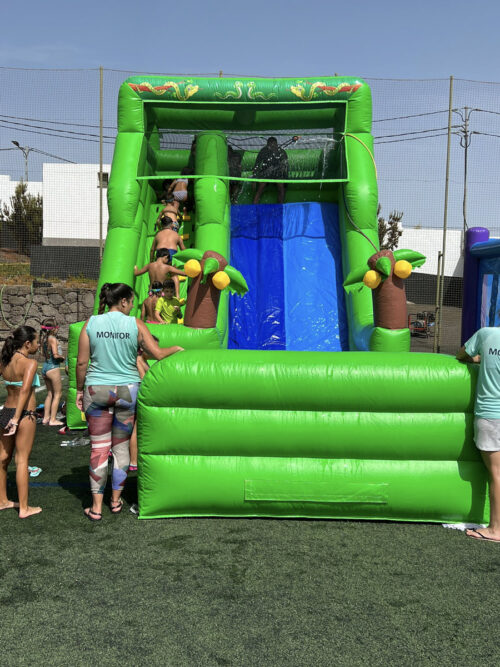 Alquiler-de-castillos-hinchables-Acuaticos-jungla-con-piscina